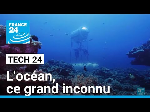 Dans le secret des abysses : des robots sous la mer • FRANCE 24