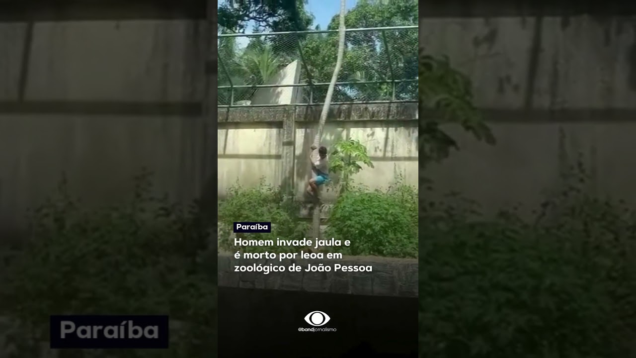 Homem invade jaula e  é morto por leoa em  zoológico de João Pessoa