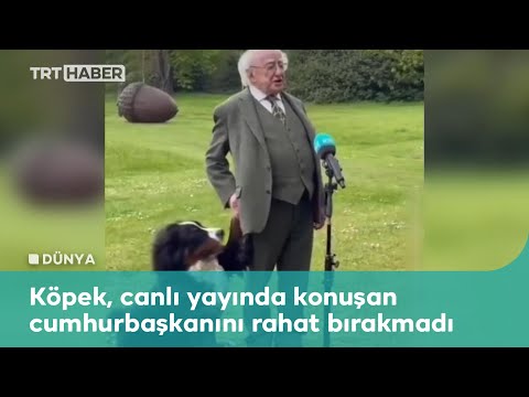 İrlanda Cumhurbaşkanının zor anları