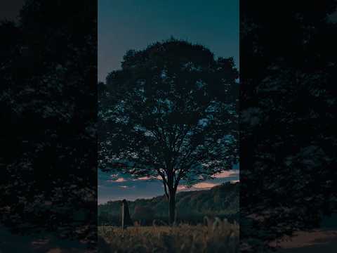 #Uru-愛 11.26 18:00 Music Video