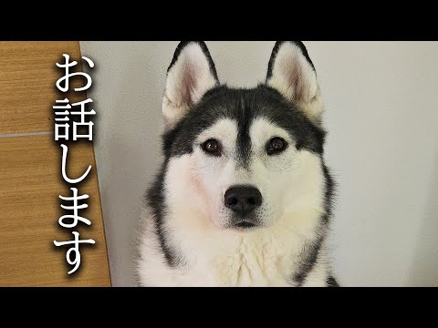 みなさま申し訳ありませんお休みすることになりました...