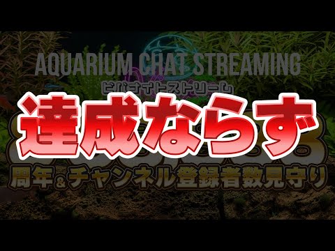 【土曜21時配信】8周年&88888登録者数みまもりアクアリウムの雑談配信 【ビバアクア】 #アクアリウム