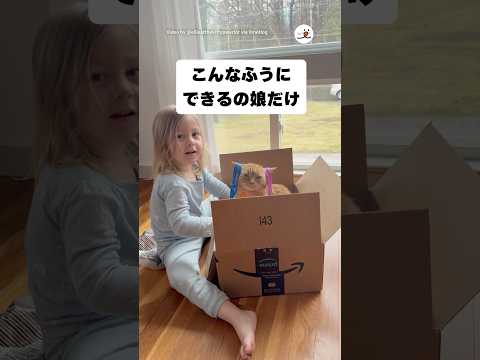 猫の動画サムネイル - 娘だけに許された散髪ごっこ｜PECO