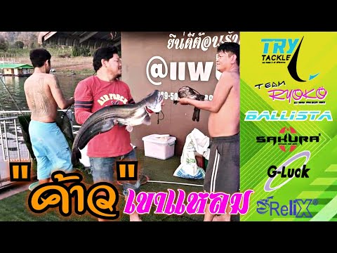 Ryoko-ตกปลาเขาแหลมEP2-ปลาเค้า- Ryoko-ตกปลาเขาแหลมEP2-ปลาเค้า-