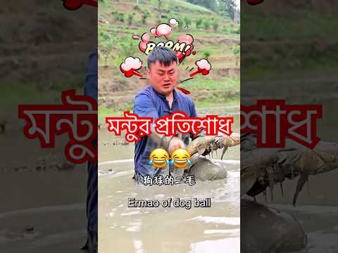 মন্টুর প্রতিশোধ 👨‍🌾🤣 #বাংলাখাওয়া #funnyshorts #comedy