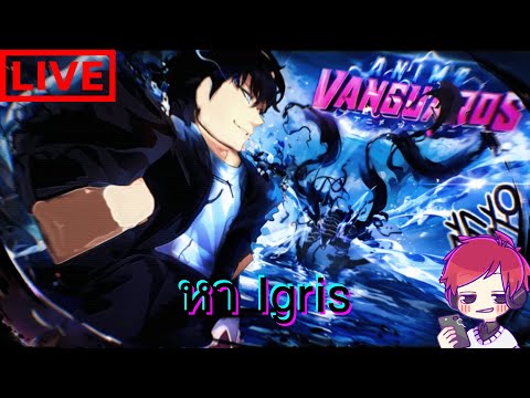 🔴LiveAnimeVanguard:หาIgrisจนก