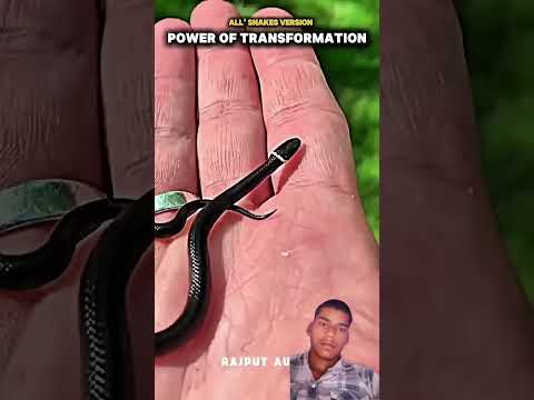 #jay #bhim #jay #bharat #💙😈