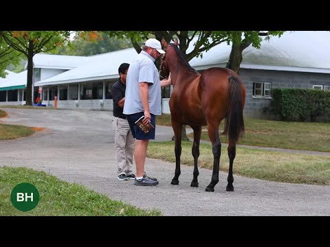 Shopping Keeneland September Book 1 with Jacob West