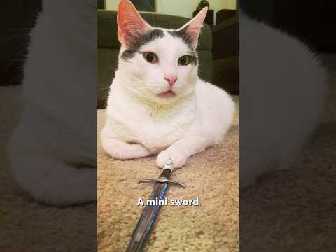 Thank you for sharing Halo with us Mal💚