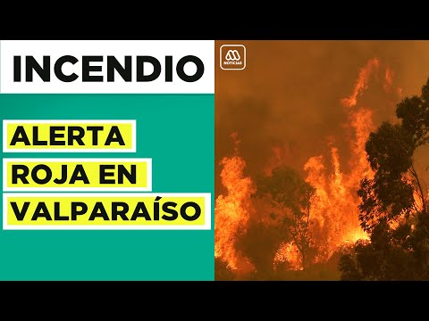 Incendio Valparaíso | Decretan Alerta Roja tras amenaza hacia sectores habitados