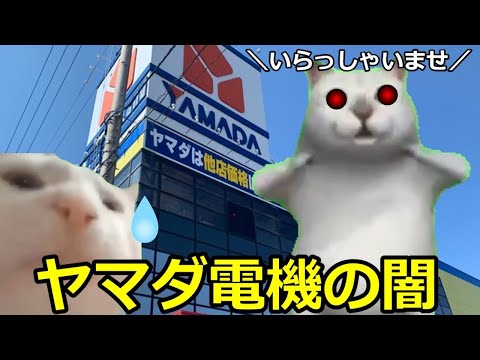 【猫ミーム】市営住宅の闇パート9