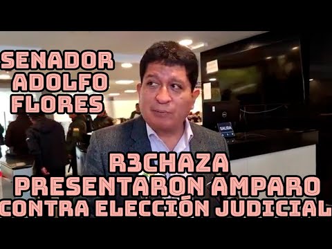 SENADOR LUIS ADOLFO FLORES VOCAL TRIBUNAL ELECTORAL TAHUICHI SIGUE VIGENTE PARA ELECCIONES JUDICIAL.