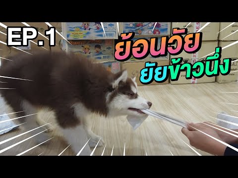 ย้อนวัย-ยัยข้าวนึ่ง-ผ่านไปไม่ก ย้อนวัย-ยัยข้าวนึ่ง-ผ่านไปไม่ก