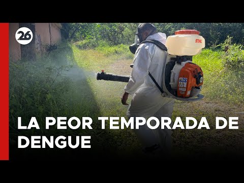 Se prevé la temporada más severa de dengue en la historia de América Latina