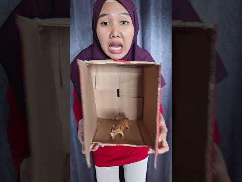 Open the door #shorts #funny #trending #subscribe