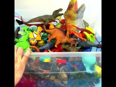 What’s in the Box? 🥣 🦖 Lobster, Walrus & T-REX!