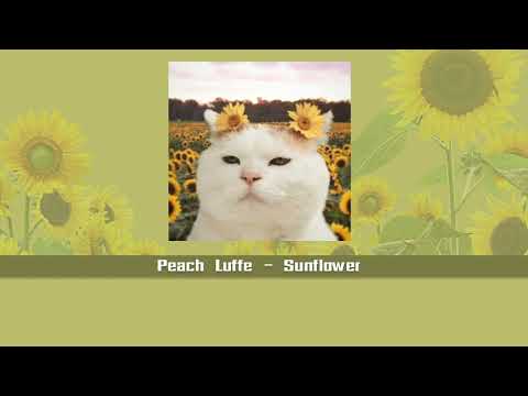 (THAISUB)PeachLuffe-Sunflo