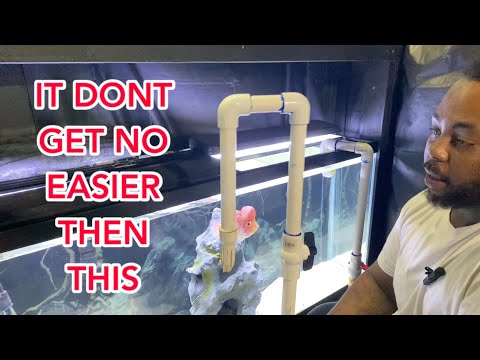 How to change water easy DIY water change n. No bucket , no hassle, quick
 and easy !