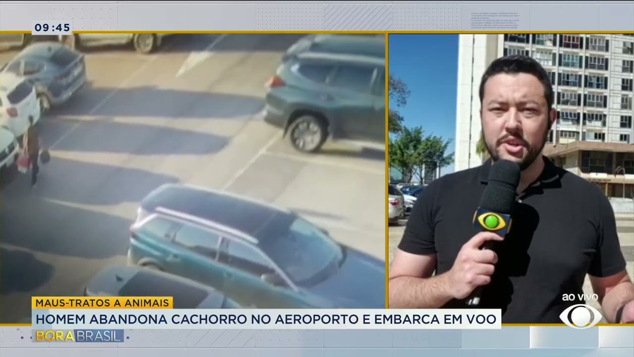 Homem abandona cachorro no aeroporto e embarca em voo