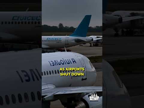 The Art of Baking: From Classic Bread to Artisan Pastries