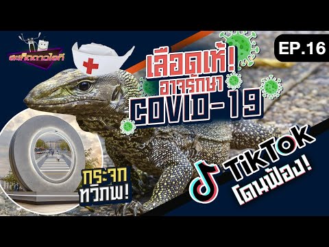 สะเก็ดดาวไอที-EP16-|-รวมข่าวไอ สะเก็ดดาวไอที-EP16-|-รวมข่าวไอ