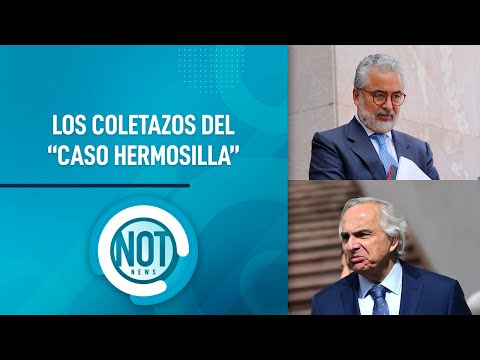 ¿LUIS HERMOSILLA ENOJADO con ANDRÉS CHADWICK? | Not News
