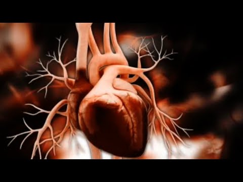 Cardiopatía isquémica en la mujer y sus afectaciones