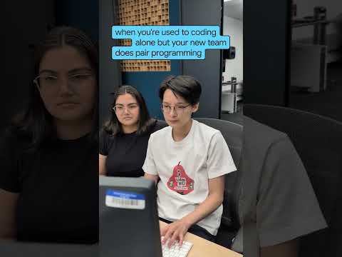 POV: You’ve been coding solo for years and suddenly a wild programmer appears.