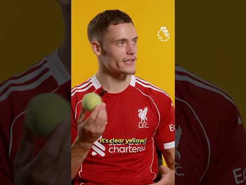 Is A Tennis Ball Green Or Yellow? 🎾