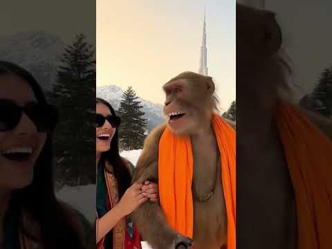 Today Dubai snow fall || #funny #monkey #minivlog #viral #shorts #kaavaalaa #anirudh #veo_3