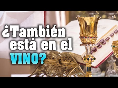 ¿El Cuerpo de Cristo también está en el vino? Respuesta católica.