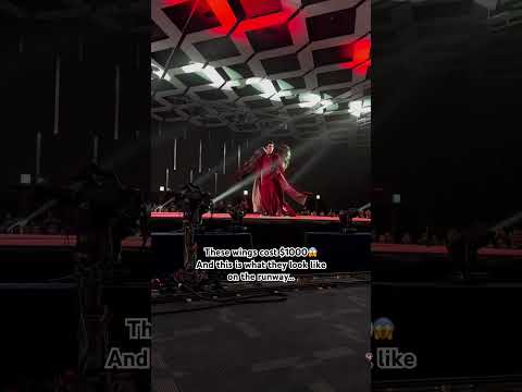 These wings cost $1000 😱And this is what they look like on the runway…#usa