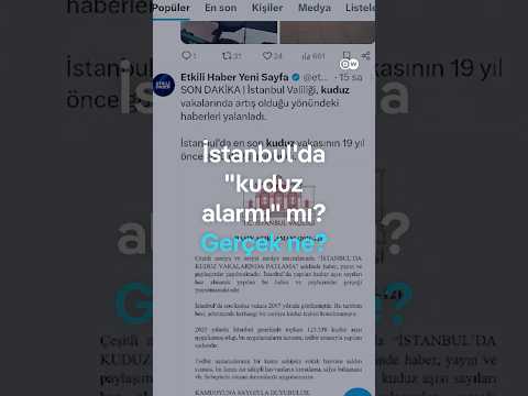 İstanbul'da kuduz alarmı mı? 123 bin kişi...