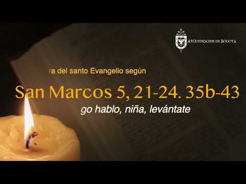 Mons. Luis José Rueda Aparicio | Evangelio según San Marcos 21-24.35b-43