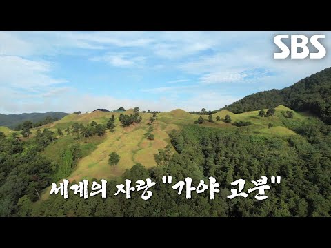 ‘벌초 달인’의 삼각편대 전술로 깔끔하게 변신한 유네스코 문화유산 <strong>가야</strong> 고분!