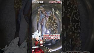 【おもひで】ガザミ釣って茹でて喰った。 #vtuber　#個人Vtuber　#shorts  #バーチャルYoutuber #丹下琴絵 #個