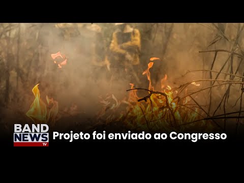 Governo propõe aumento de penas para crimes ambientais | BandNews TV