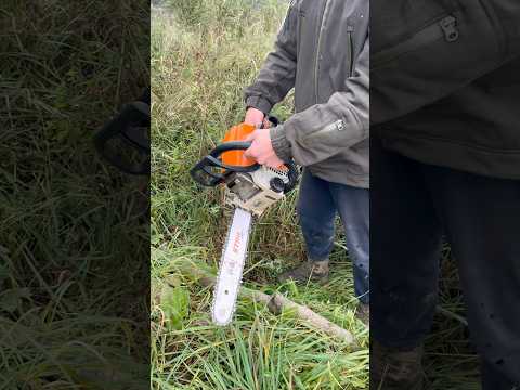 Запуск STIHL - MS 180 після простою