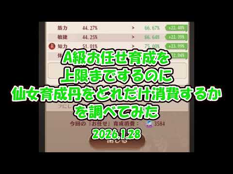 【放置少女】A級お任せ育成を上限までするのに仙女育成丹をどれだけ消費するかを調べてみた（2026.1.28）【ブラウザ版 無課金】