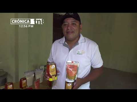 «LA MIES» un emprendimiento apícola exitoso en la Isla de Ometepev- Nicaragua