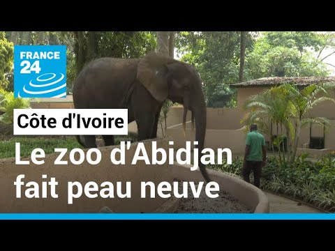 Côte d'Ivoire : le zoo d'Abidjan fait peau neuve et promet le bien-être des animaux • FRANCE 24