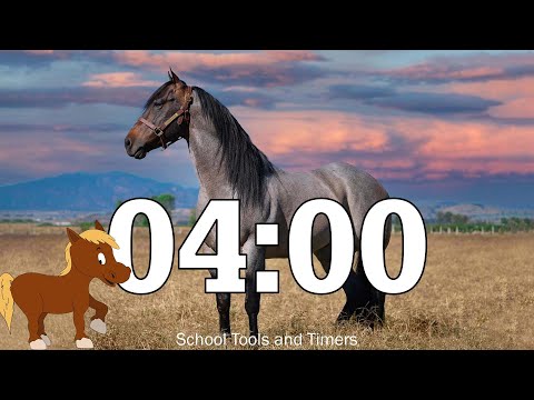 4 Minute 🐴 Horse 🐴 Countdown Timer - Neigh Whinny and Gallop Sounds
