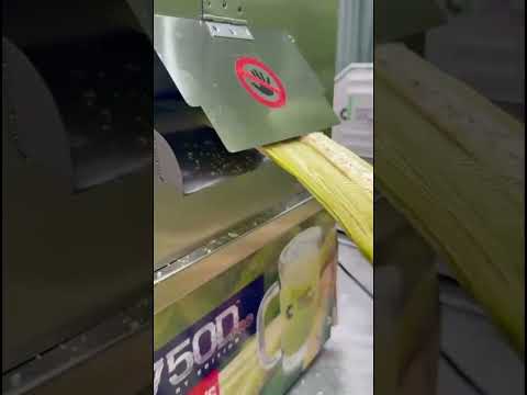BETA TESTING the FIRST Top Loading 3 Roller Sugarcane Machine | NEW MODEL #davidscanemachines #cane