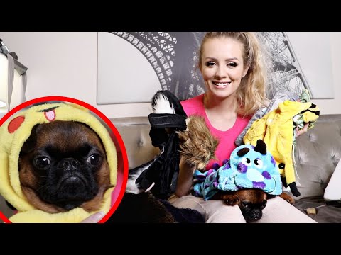 My Dog Tries On Halloween Costumes! | Annelise Jr & Sad Bobbie