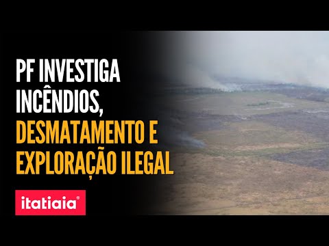 PF APURA PREJUÍZOS DE R$ 220 MI COM INCÊNDIOS CRIMINOSOS NO PANTANAL