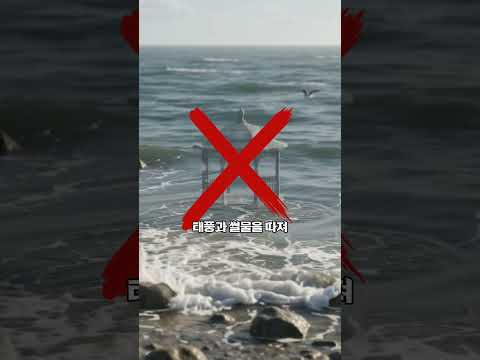여수 섬 박람회장은 남기려고 지은 게 아닙니다. 두 달 뒤 걷어 갈 텐트로 지은 이유는 14년 전 그 건물들 때문이죠.