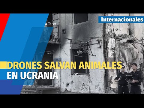 TECNOLOGÍA | Drones salvan animales de edificios bombardeados en Ucrania