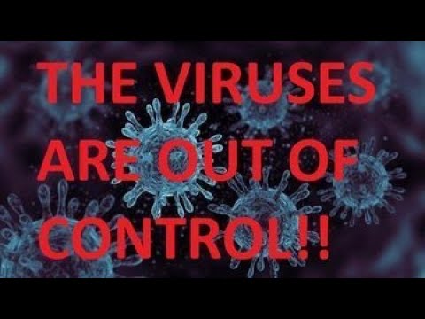 A Look At The Levels Of Covid Flu And Other Viruses Across The US