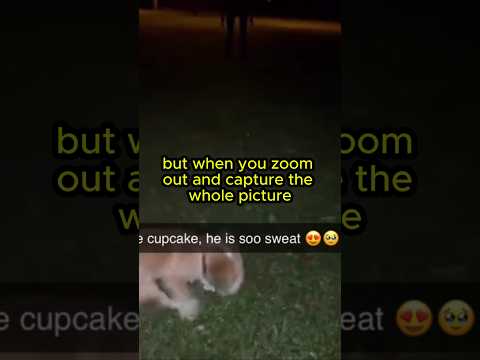 It was watching him... #scary #creepy