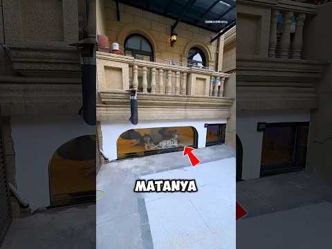 diusir dari rumah,tapi endingnya malah bikin ngakak 😂